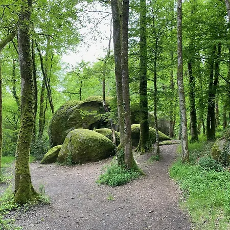 Mille Etoiles | 4-kamer | 6 Personen |